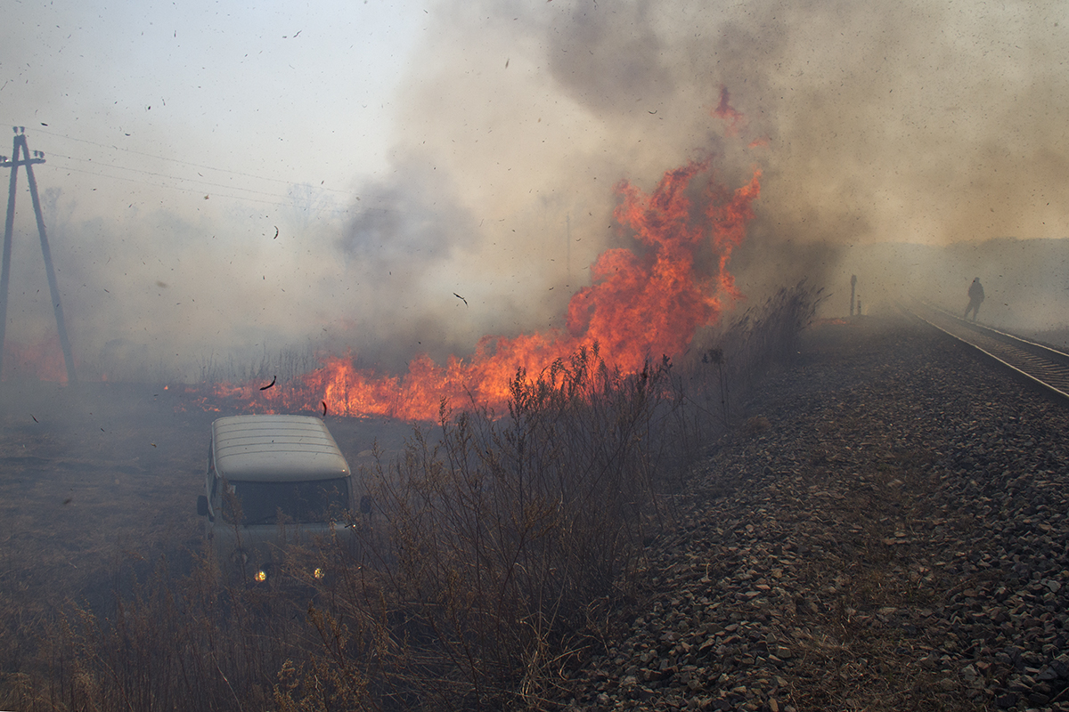 Совместное тушение пожара с инспекторами Национального парка и сотрудниками Гринпис России. Приморский край, 2015 год. 
