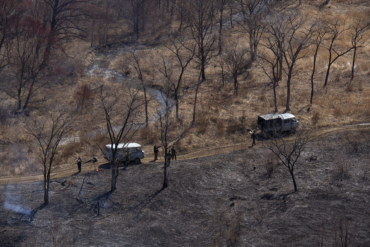 Инспекторы Национального парка, лесники и сотрудники Гринпис России тушат пожар. Приморский край, 2015 год. 