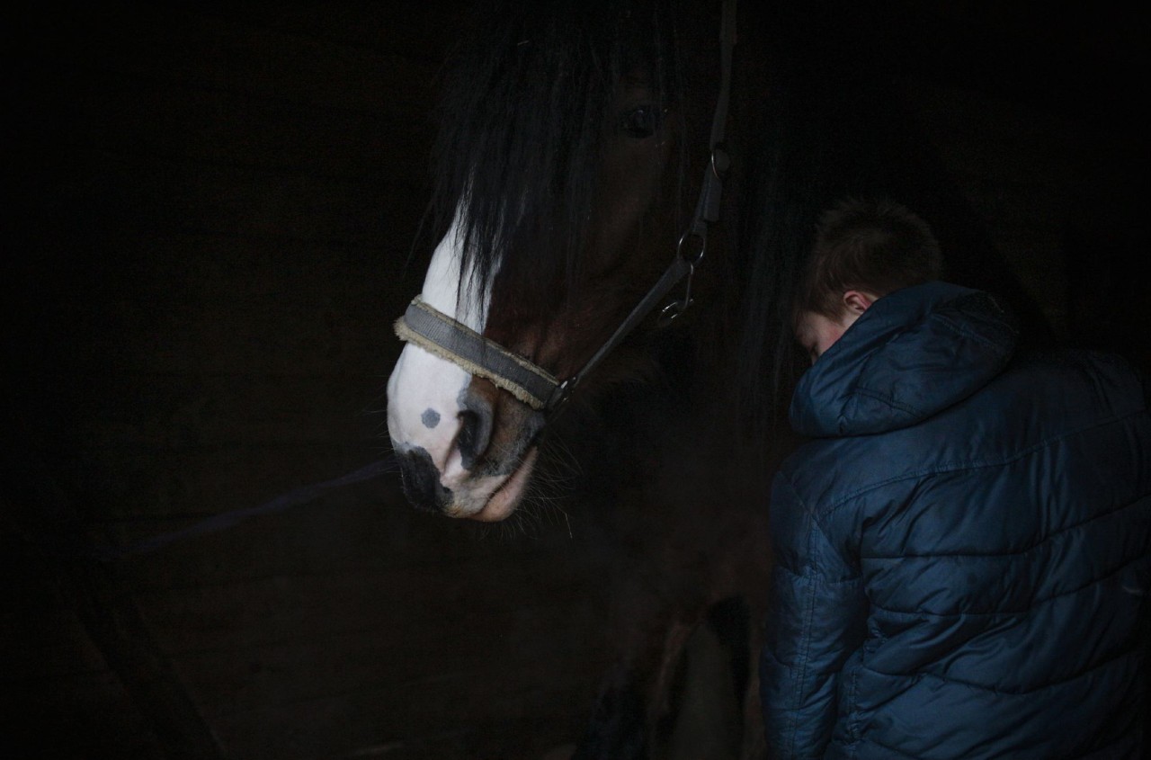 Саша и Харлей, самый крупный конь на конюшне.