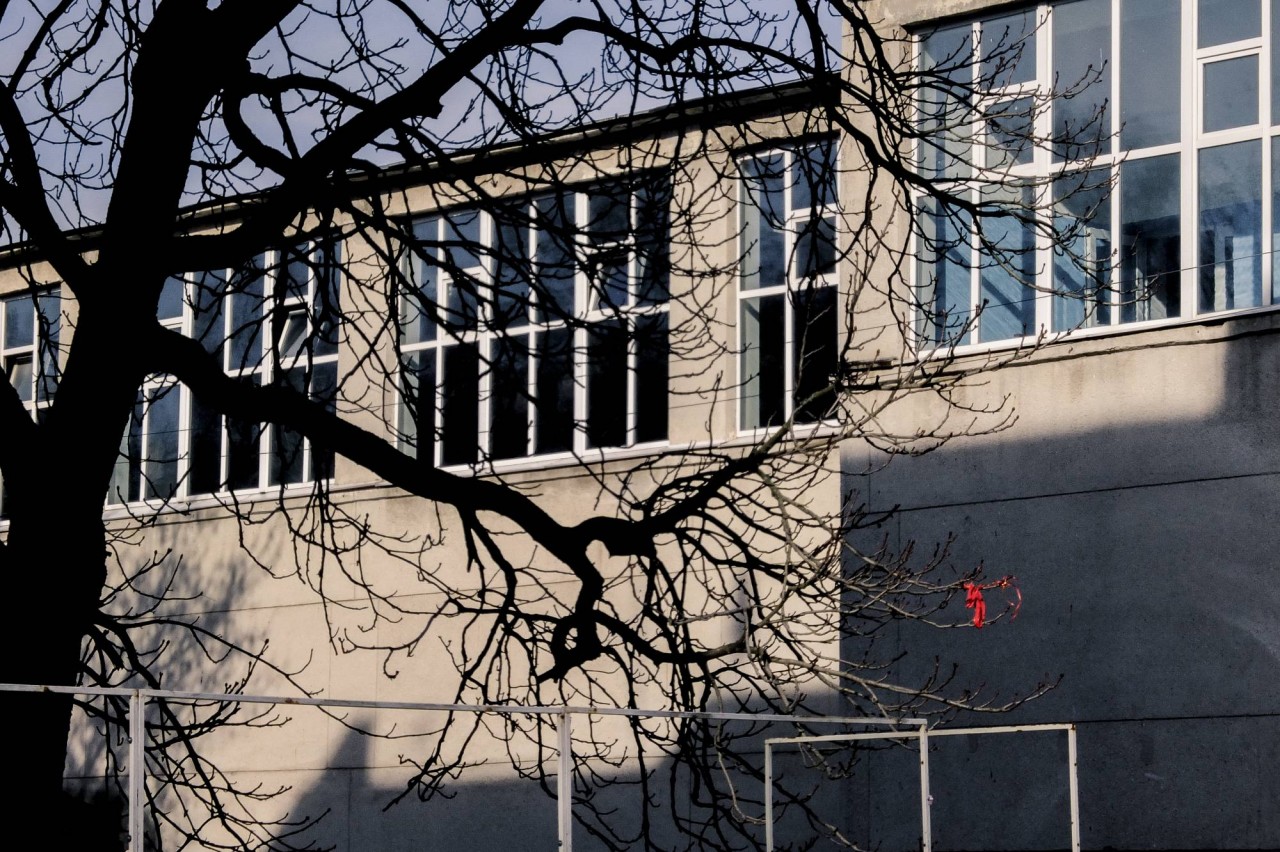 Красная тряпка на ветках дерева возле одной из школ г. Курска