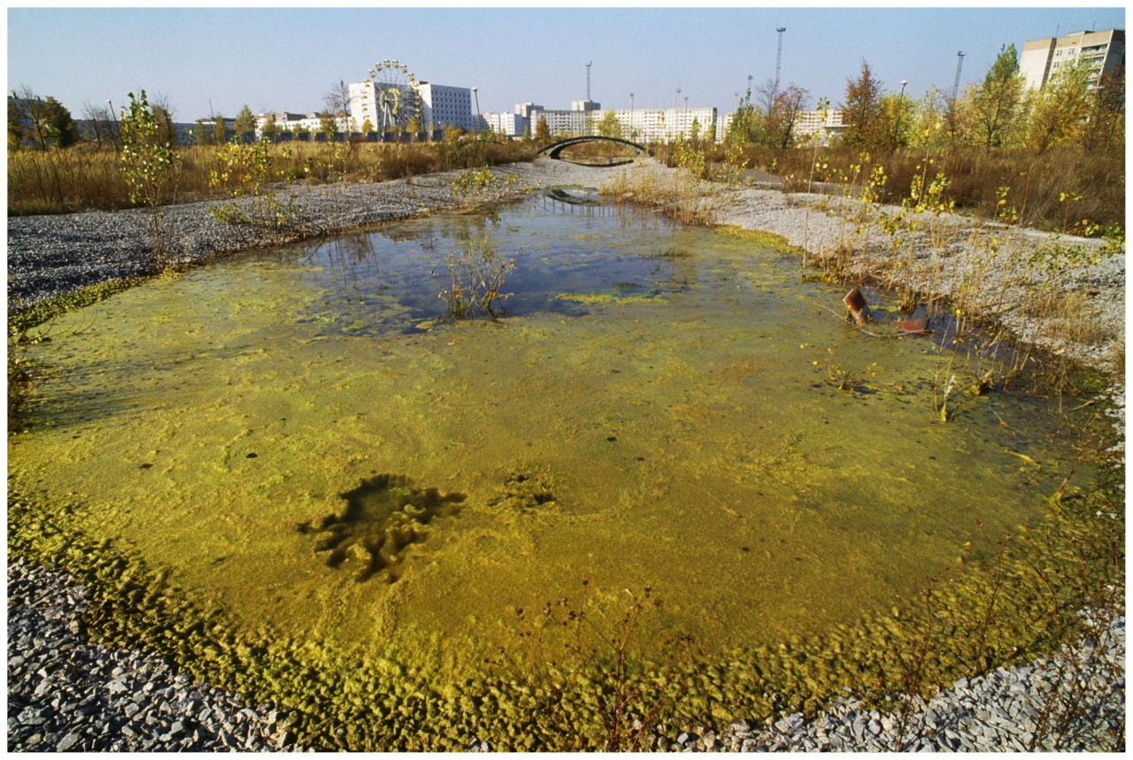Водная среда Чернобыля