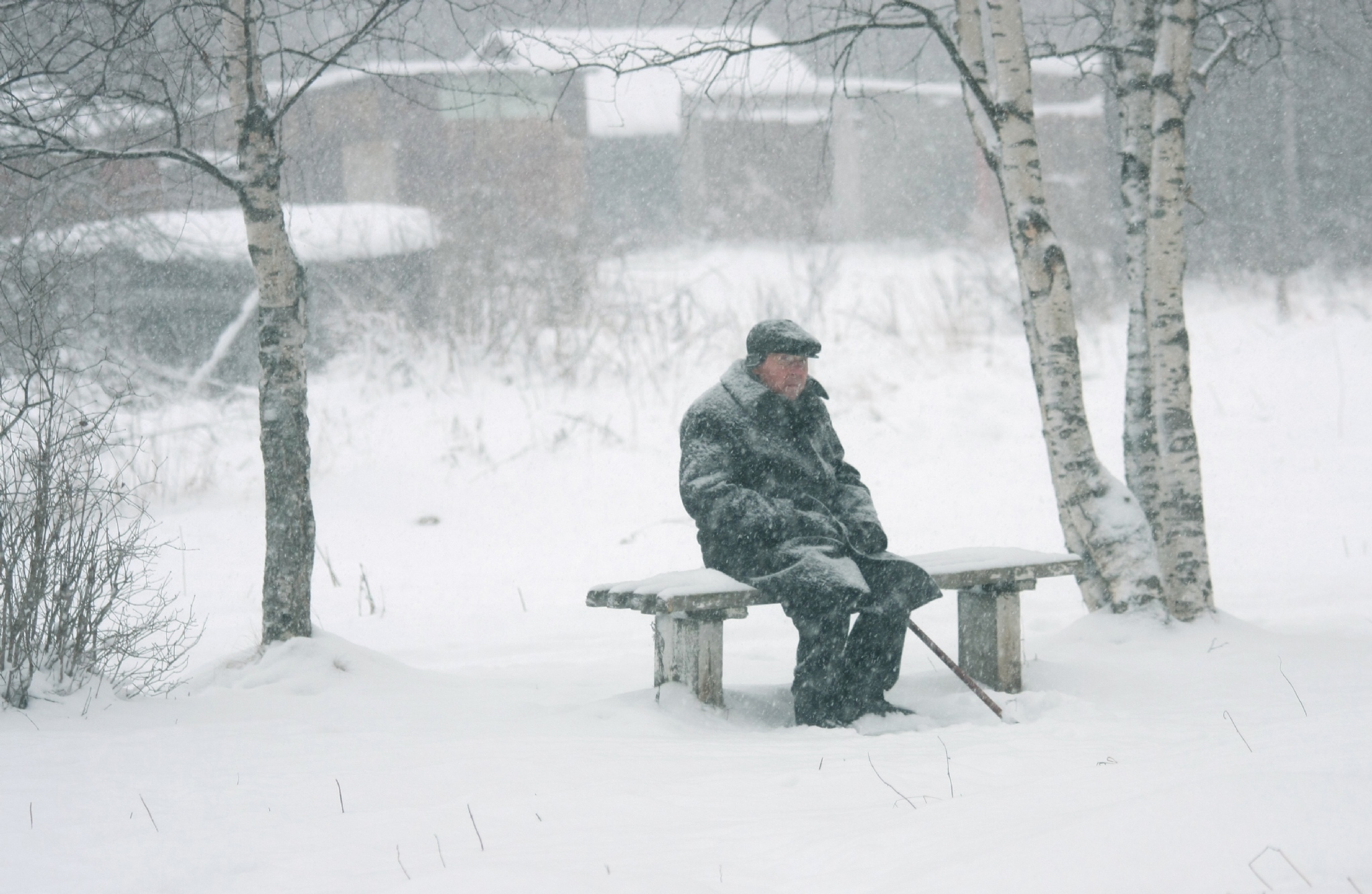 Почему в России так много одиноких женщин? | Дмитрий Петров | Дзен