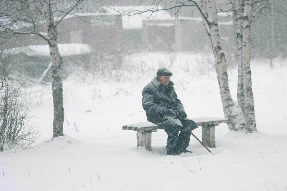  Фото снято зимой днём в снегопад. Между двух берез на лавочке сидит пожилой мужчина в кепке с опущенными ушами и пальто и смотрит куда-то вправо от нас. В руках — трость. 