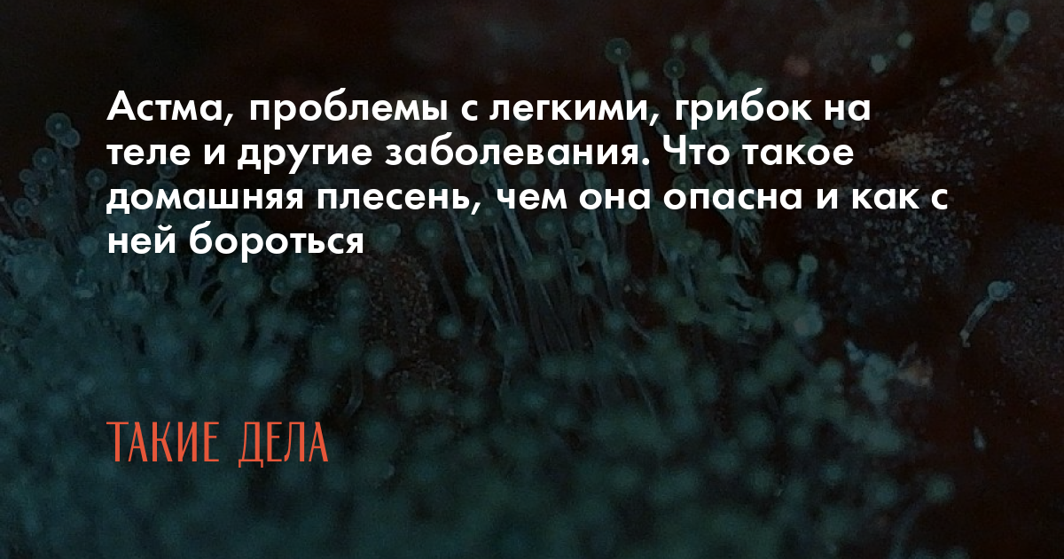 Астма, проблемы с легкими, грибок на теле и другие заболевания. Что ...