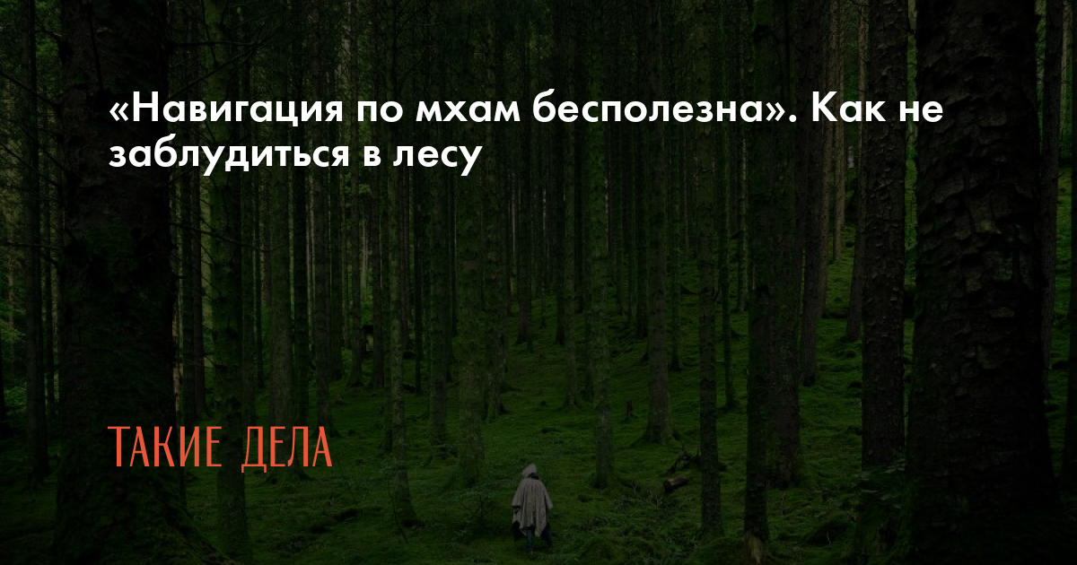 Заблудились в лесу. Что делать и как выйти. Инструкция