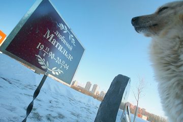 «Внутри дыра размером с таксу»