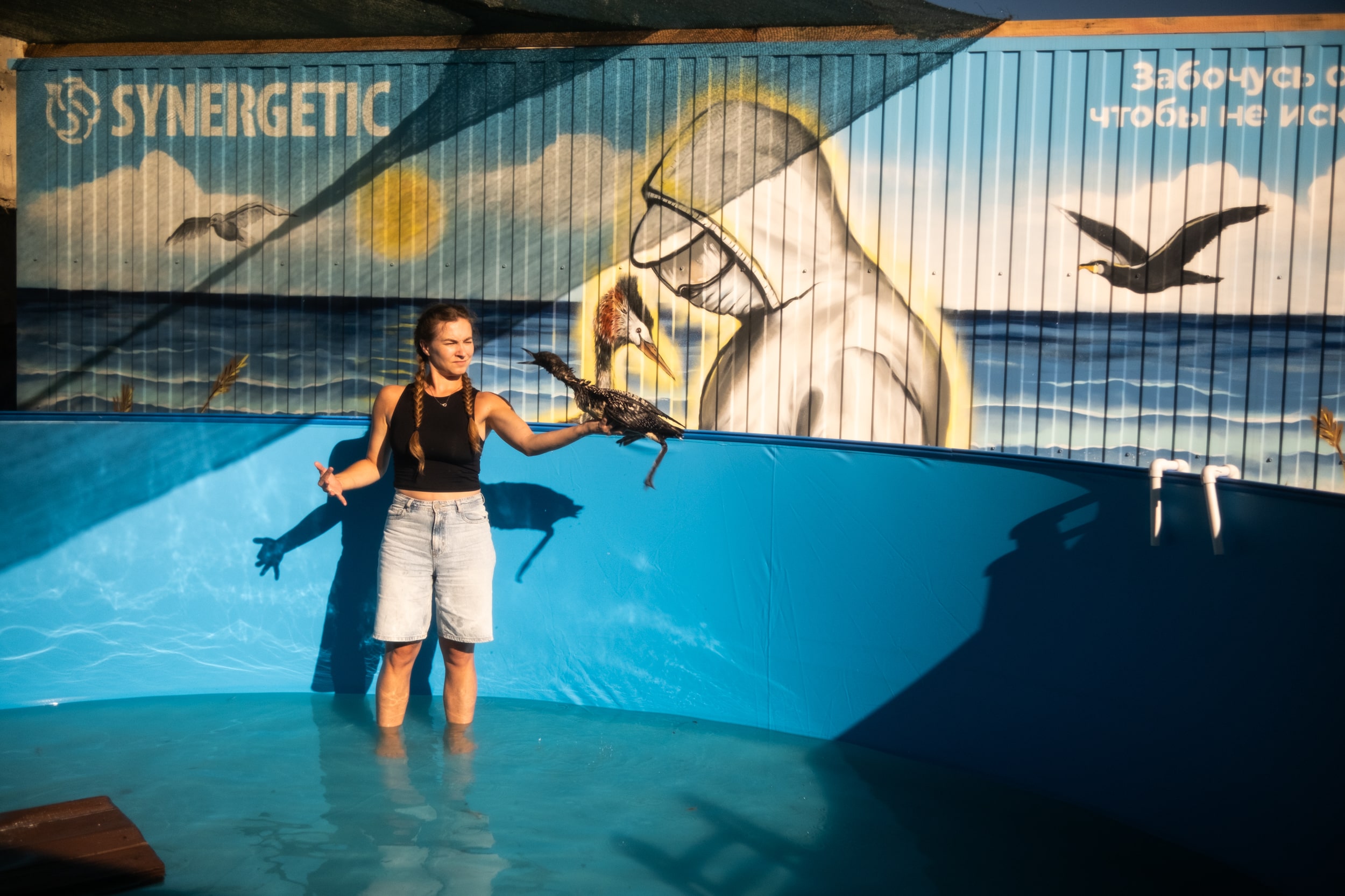 девушка и птица