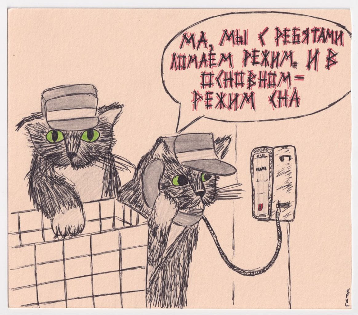 рисунок котиков