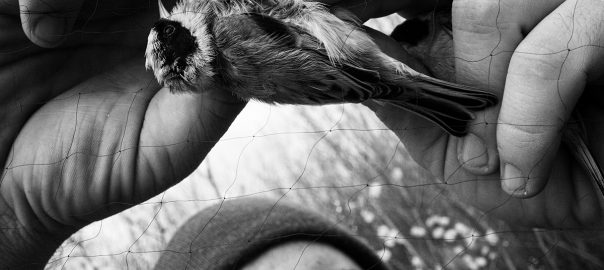 Нигилист XXI века