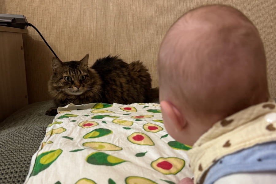 кот и ребенок кот и ребенок