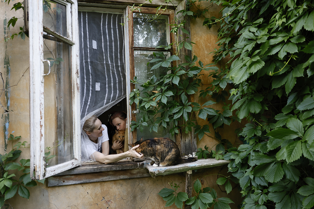 Сухая гроза над бараком