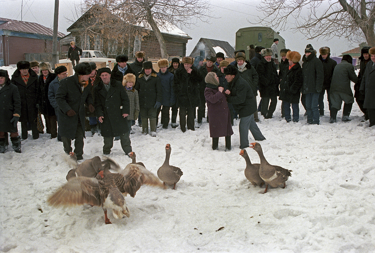 «За любушку!»