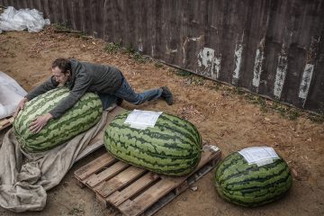 Продай душу тыкве