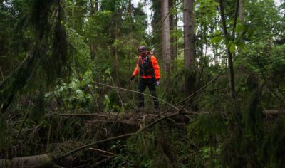 Искать и не сдаваться