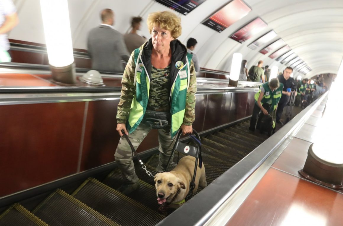 Кинолог во время обучения собак-проводников для сопровождения маломобильных пассажиров метрополитена. Во время занятий собак-поводырей учат навыкам безопасного перемещения по станциям метро, проходу через входные двери и турникеты. 